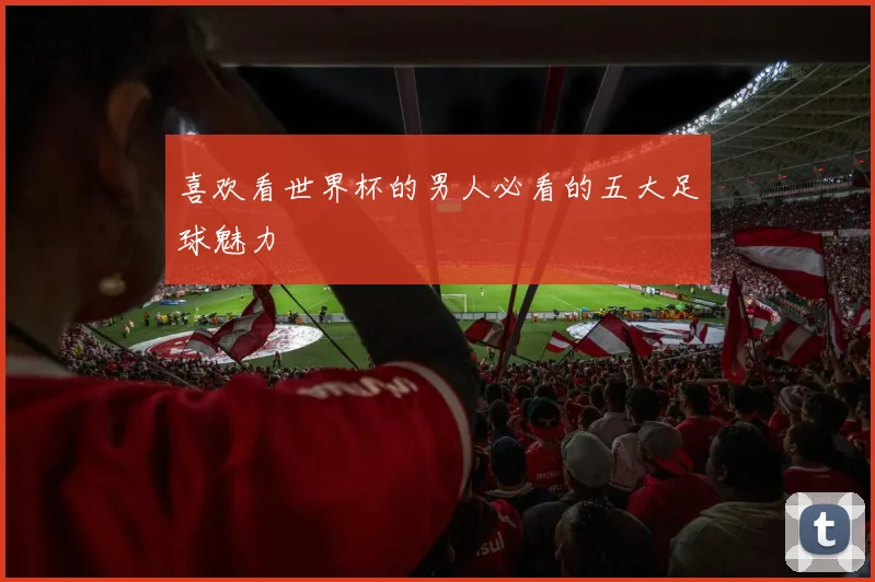 喜欢看世界杯的男人必看的五大足球魅力