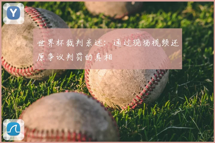 世界杯裁判亲述：通过现场视频还原争议判罚的真相