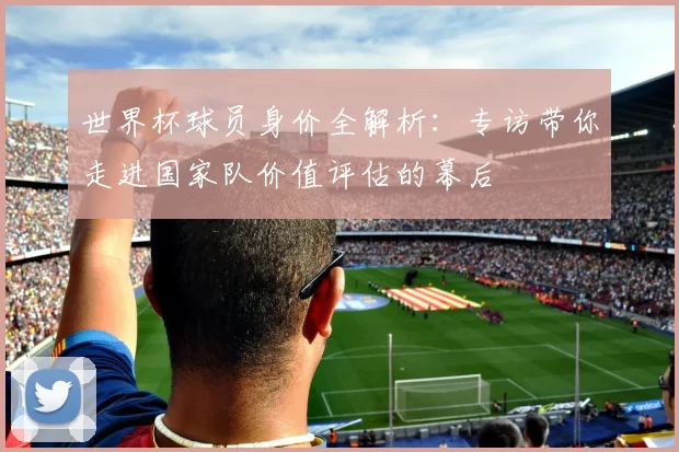 世界杯球员身价全解析：专访带你走进国家队价值评估的幕后