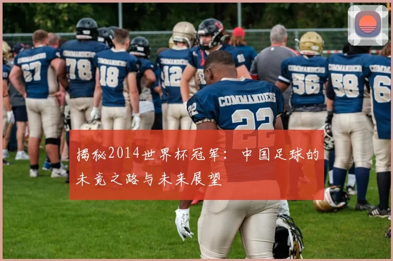揭秘2014世界杯冠军：中国足球的未竟之路与未来展望