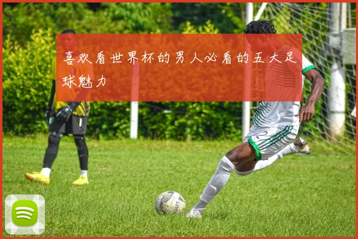 喜欢看世界杯的男人必看的五大足球魅力