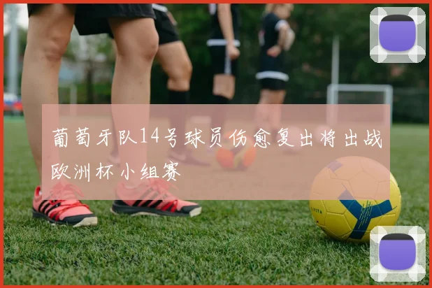 葡萄牙队14号球员伤愈复出将出战欧洲杯小组赛