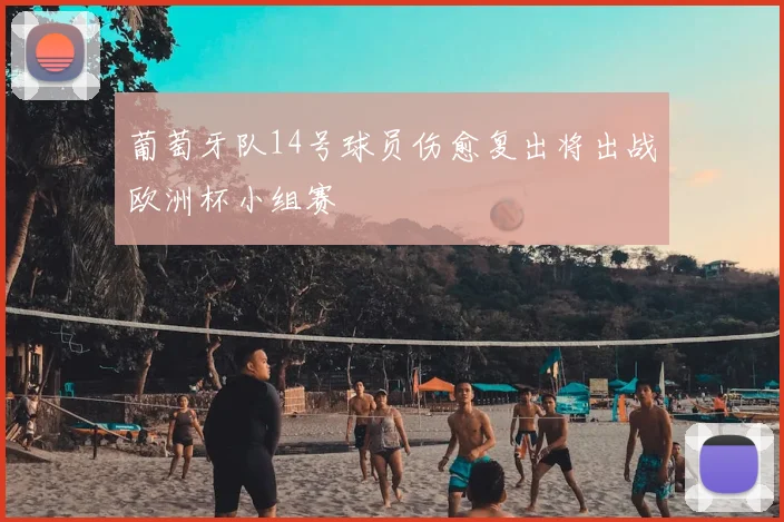 葡萄牙队14号球员伤愈复出将出战欧洲杯小组赛