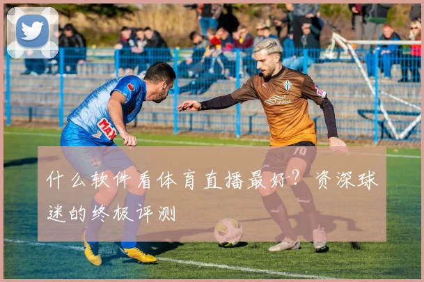 什么软件看体育直播最好？资深球迷的终极评测